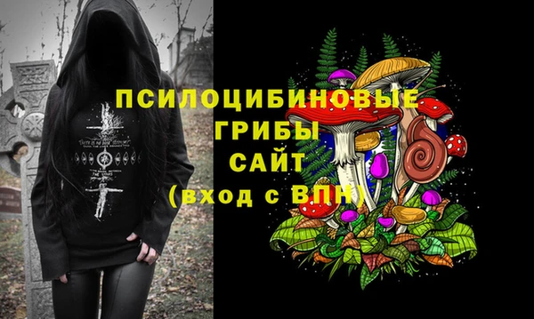 ешки Дмитровск