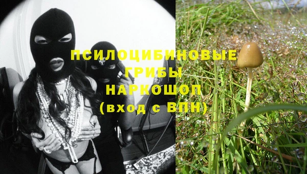 ешки Дмитровск