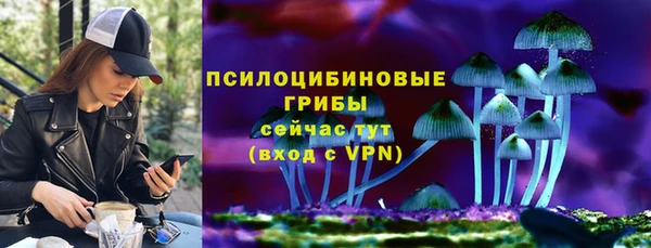 Альфа ПВП Дмитриев