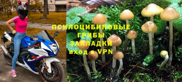 Альфа ПВП Дмитриев