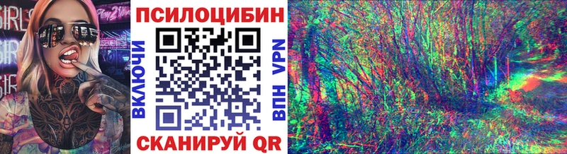 купить закладку Истра Галлюциногенные грибы Psilocybine cubensis